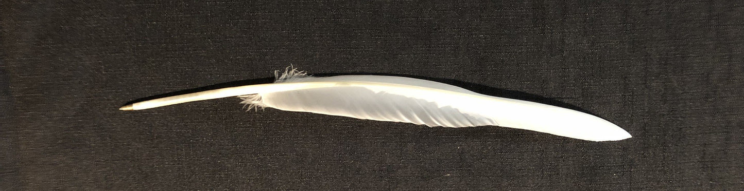 Ballpoint Goose Quill Pen